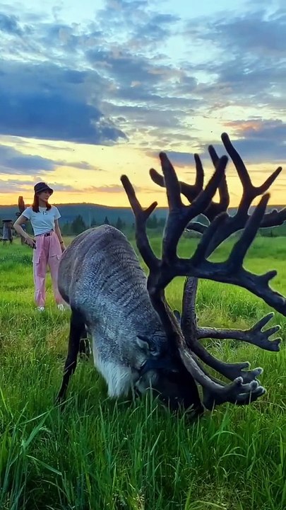 BS.MAKKU.FF#KhabyLame #respect_#khabylame_#viral#funny #viralvideo #respect #shorts #subscribe