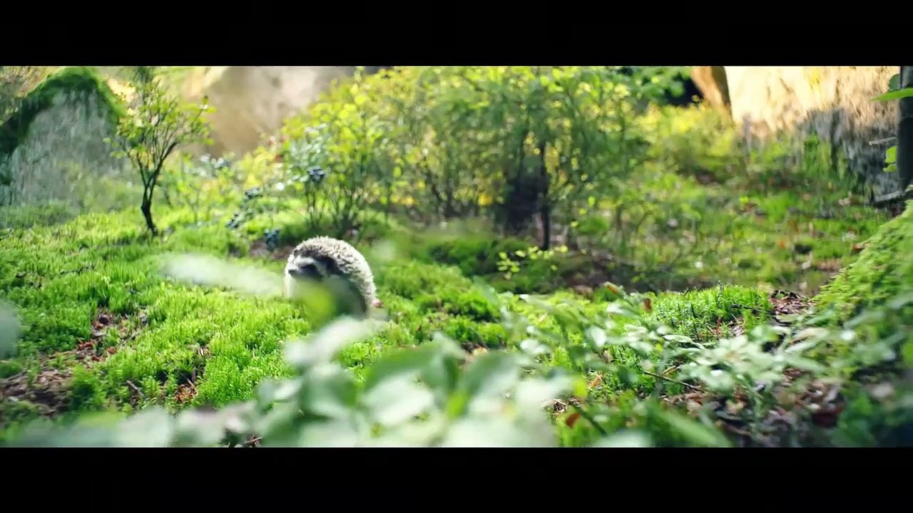 Une délicieuse petite sorcière Bande-annonce (DE)