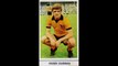 STICKERS FKS PUBLISHERS ENGLISH CHAMPIONSHIP 1972 (WOLVERHAMPTON WANDERERS FC)