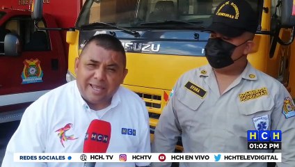 #HCHSantaBárbara | ¡Horrendo! Enjambre de abejas mata a anciano y otras personas quedan graves