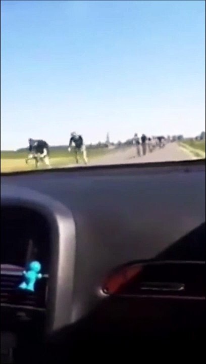Quand tu croises la route d'un peloton de cyclistes... douloureux