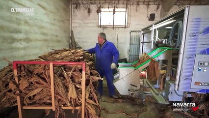 VTR EL TIRAMILLAS_VTR_132112_1.mp4