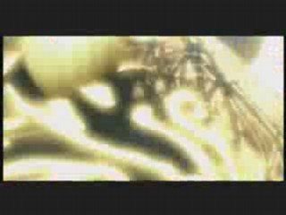 Prince of Persia