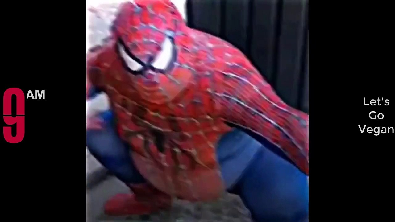 Try Not To Laugh Funny Videos