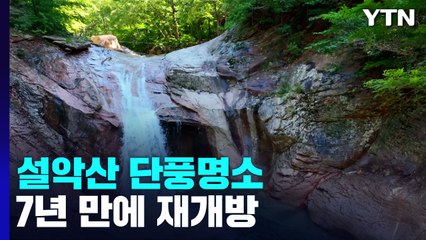 설악산 단풍명소 '흘림골 탐방로' 7년 만에 재개방 / YTN