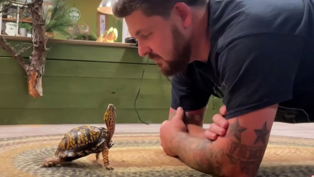 South Jersey couple rescues, breeds reptiles all in the name of conservation and preservation