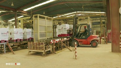 صناعة الطوب والنجاعة الطاقية - 05/09/2022