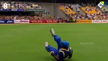Top 10 Amazing Catches In Cricket history _ Best Catches In indian Cricket 2020_ Rapid info