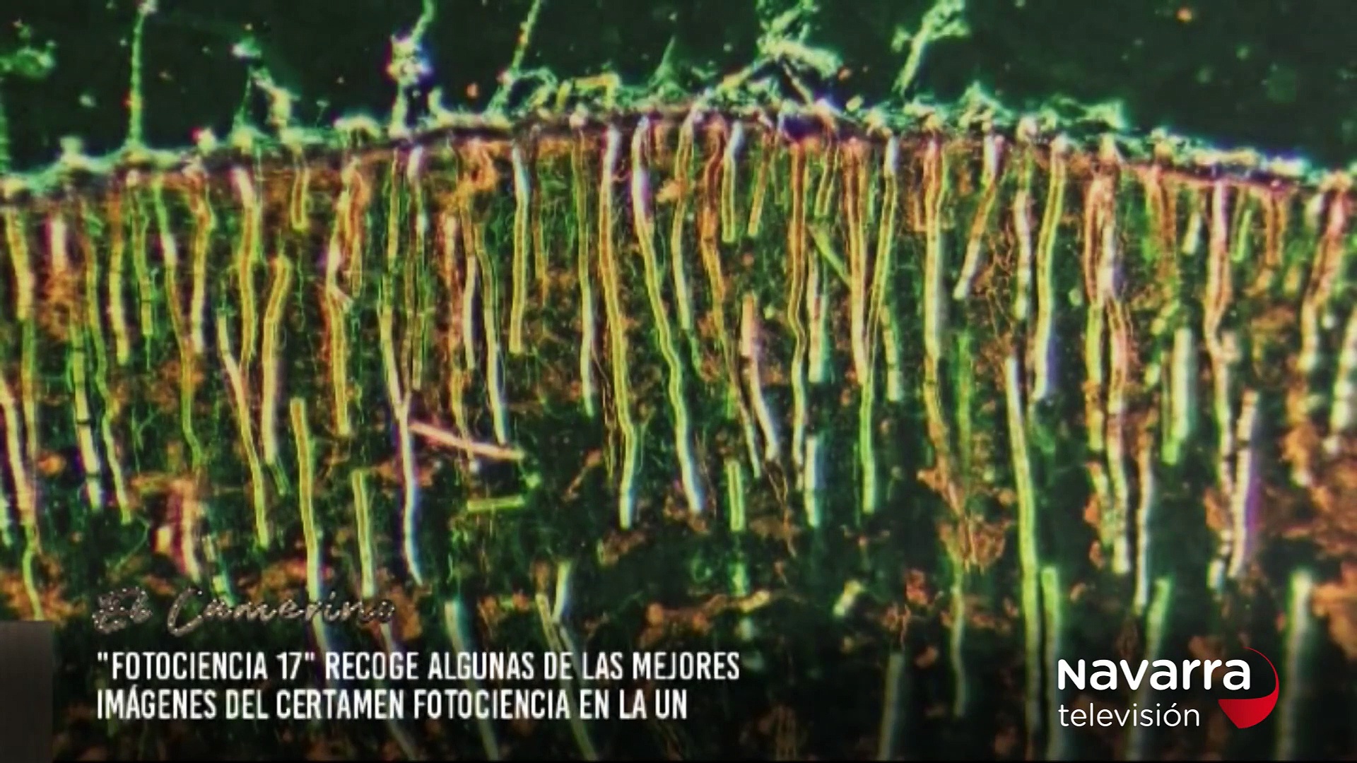 12/11/2020 Exposición Fotociencia en la Universidad de Navarra