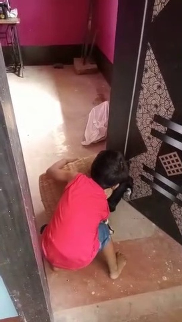 Entertainment video