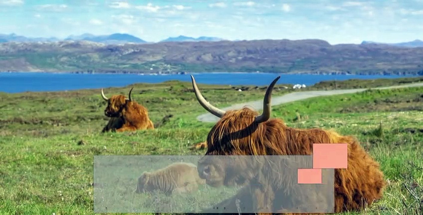 A SHORT NOTE ON YAK