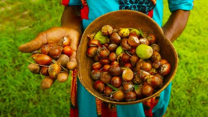 Women shea butter-makers in Ghana are fighting for their livelihoods