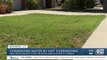 Mesa urging residents to skip the winter lawns to conserve water