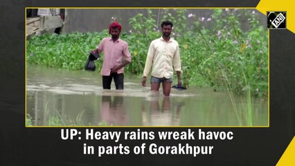 UP: Heavy rains wreak havoc in parts of Gorakhpur