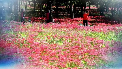 [영상구성] 방방곡곡