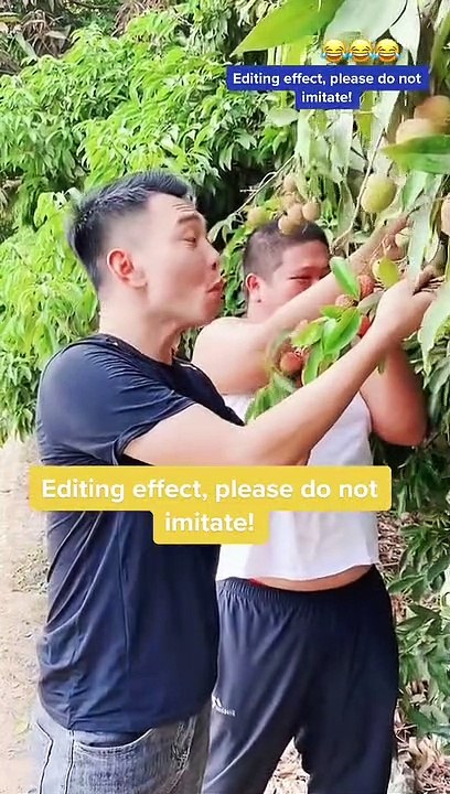 funny videos @3