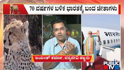 Wildlife Specialist Jayanth Sharma Speaks About Cheetahs | Public TV