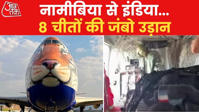 PM Modi to release the cheetahs into Kuno National park