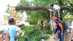 Accident video: 11 हजार एलटी लाइन पर गिरा पेड़, टला बड़ा हादसा