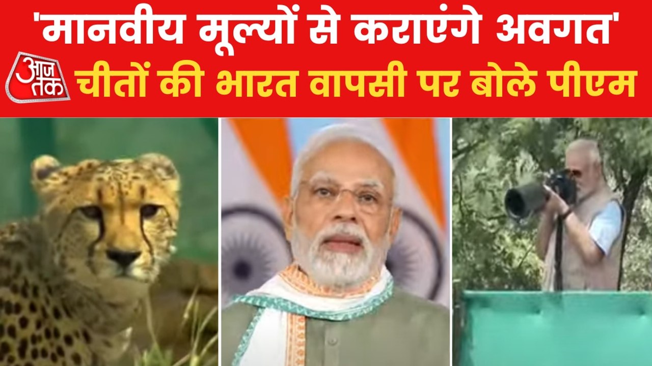 'Cheetah returned to Indian soil': PM Modi