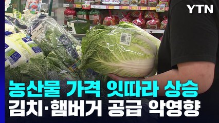 배추·양상추 등 농산물 가격 급등·수급 불안...김치·햄버거 공급에 악영향 / YTN