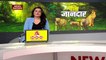 Cheetah Breaking : भारत की जमीन पर चीतों का ग्रैंड वेलकम | MP News |