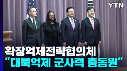 '사이버 안보' 더해진 대북 확장억제...협의체 정례화 / YTN