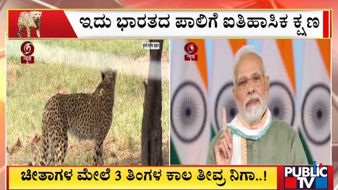 No Conflict Between Economy & Ecology, PM Modi Says After Cheetah Release | Public TV