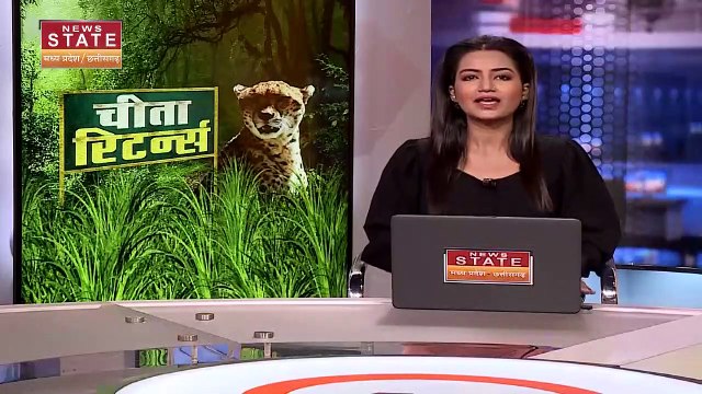 Madhya Pradesh Breaking : PM मोदी के जन्मदिन पर MP को चीतों की सौगात | MP News |