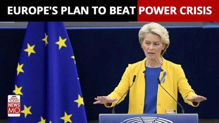 Europe Power Crisis: EU Shares A Plan Ahead Of Winter