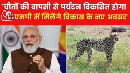 This will promote development in MP: PM on Cheetah returns