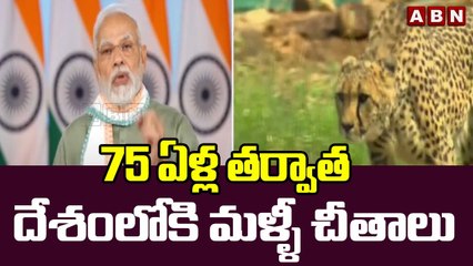 75 ఏళ్ల తర్వాత దేశంలోకి మళ్ళీ చీతాలు | PM MODI | ABN Telugu