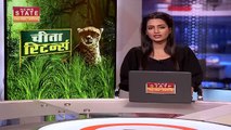 Madhya Pradesh Breaking : लॉयंस पार्क के चीता एनक्लोजर में पहुंची पीनाज त्यागी | Cheetah News |