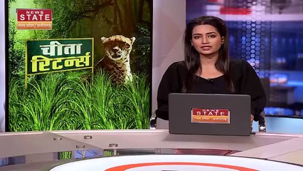 Madhya Pradesh Breaking : लॉयंस पार्क के चीता एनक्लोजर में पहुंची पीनाज त्यागी | Cheetah News |