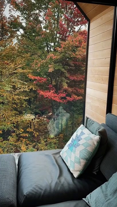 reminiscing an autumn dream