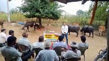 लम्पी रोग से बचाव के लिए किया जागरुकता कार्यक्रम, गायों को दी आयुर्वेदिक औषधि