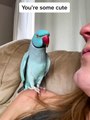 Bath time for my cute bird | Talking Bird | Pets | Parrot | Funny birds | how do birds talk
