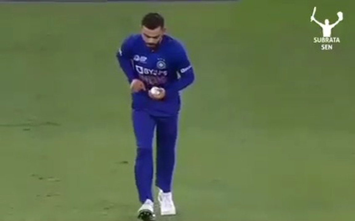 Creative video of cricket