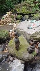 stone balance keseimbangan batu sungai alam liar