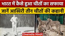 Cheetah In India: आखिरी चीता को मारने वाले King Ramanuj Pratap की कहानी | वनइंडिया हिंदी |*News