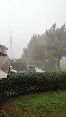 Maltempo Marche, vento e acqua sferzano gli alberi a Candia di Ancona