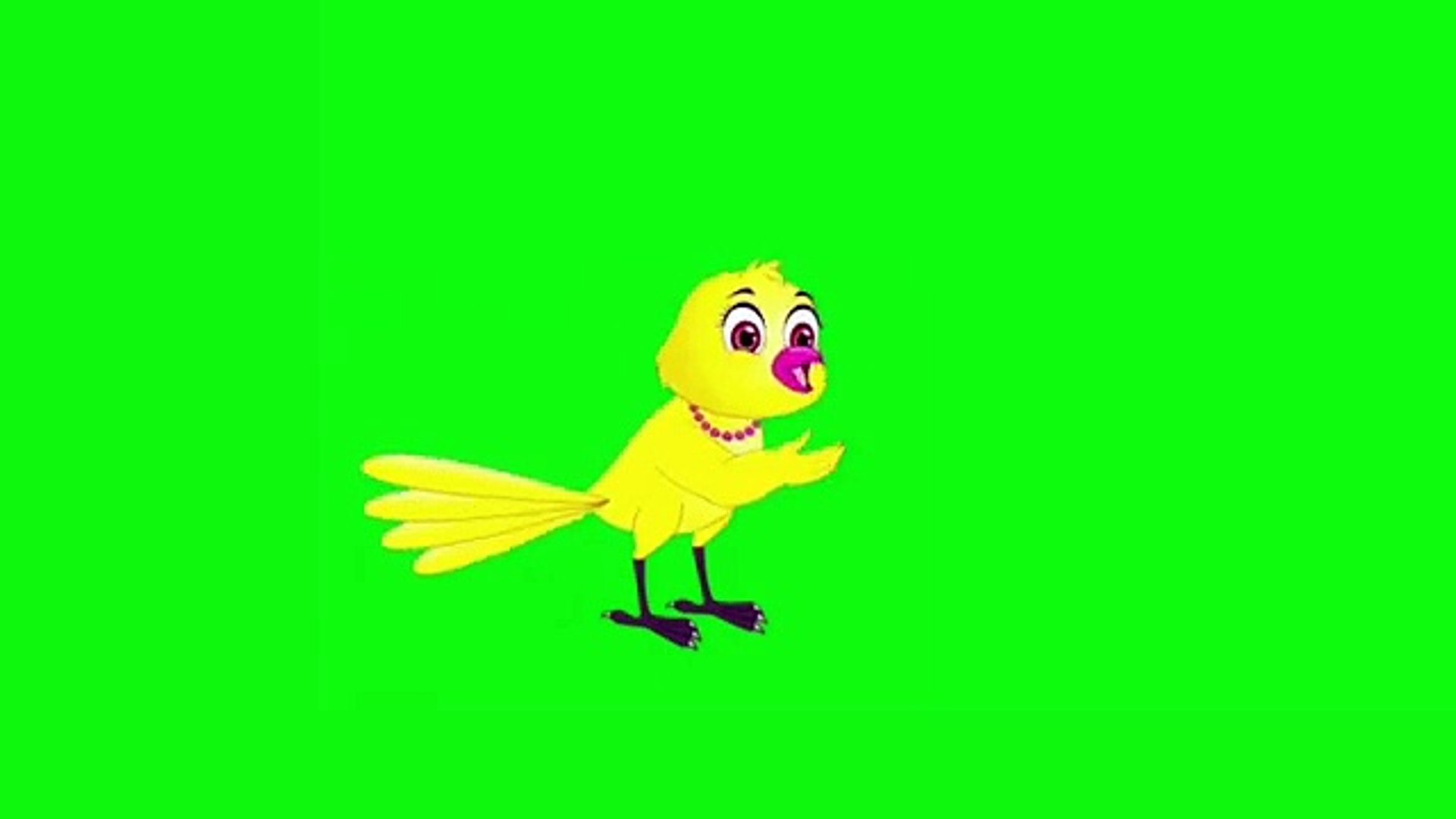 Green Screen Cartoon Bird_Green Screen Bird_Cartoon Bird - video Dailymotion