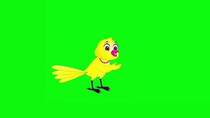 Green Screen Cartoon Bird_Green Screen Bird_Cartoon Bird