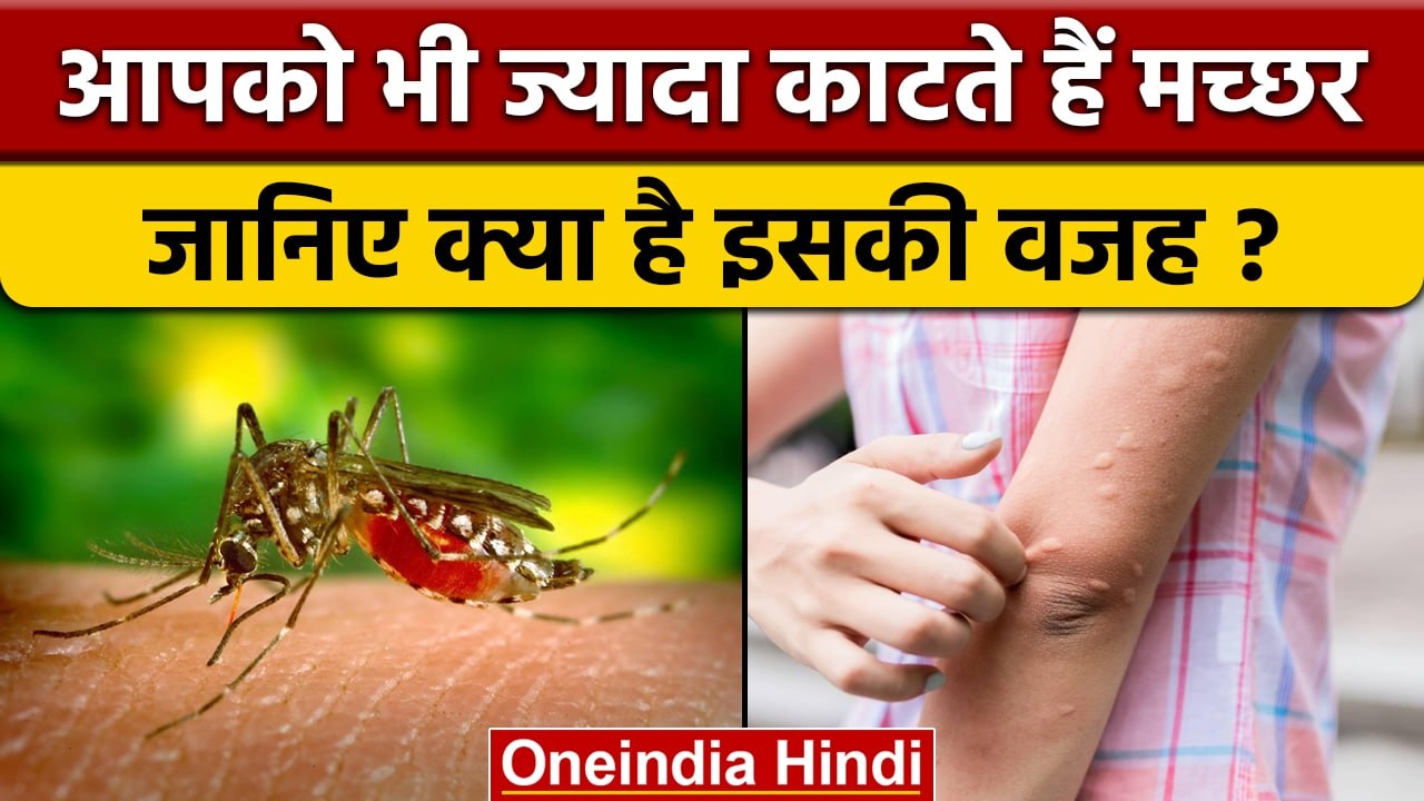 Mosquitoes bites: कुछ लोगों को क्यों ज्यादा काटते हैं मच्छर, जानिए वजह | वनइंडिया हिंदी |*Soft