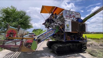 Farmer complains that the pigeons are out of work