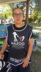 Palermo, manifestazione per le adozioni consapevoli dei cani