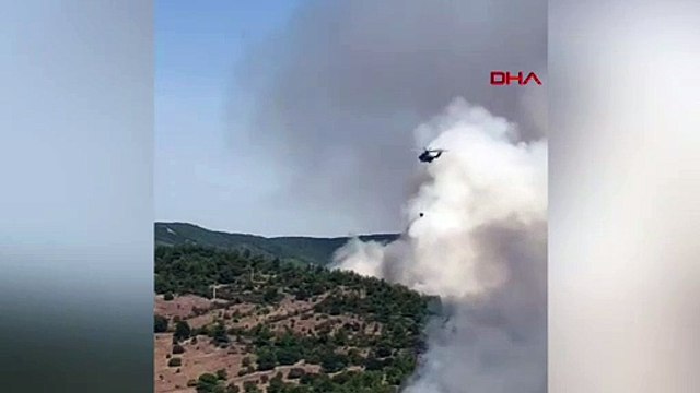 Balıkesir'de orman yangını: Havadan ve karadan müdahale ediliyor