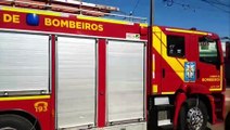 Bombeiros resgatam gato que estava preso no Florais do Paraná