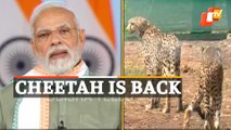 PM Modi’s address after releasing Cheetahs At Kuno National Park