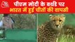 PM Modi urged people to applaud the return of Cheetahs